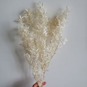 Dried flowers white ruscus bunch of 5stems